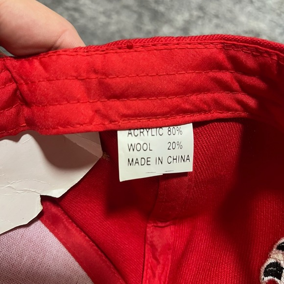 Dale Earnhardt Jr Hat - Picture 5 of 5